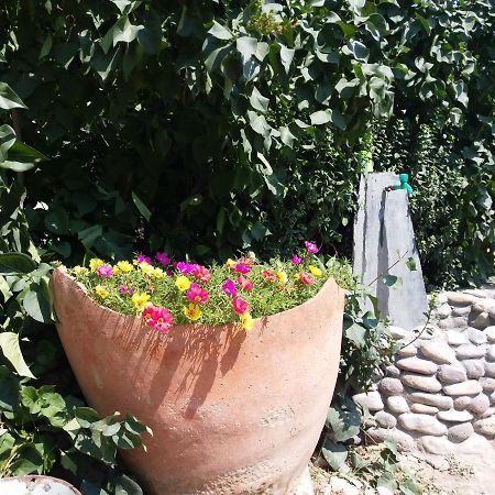 Areni Tavern-B&B Kültér fotó