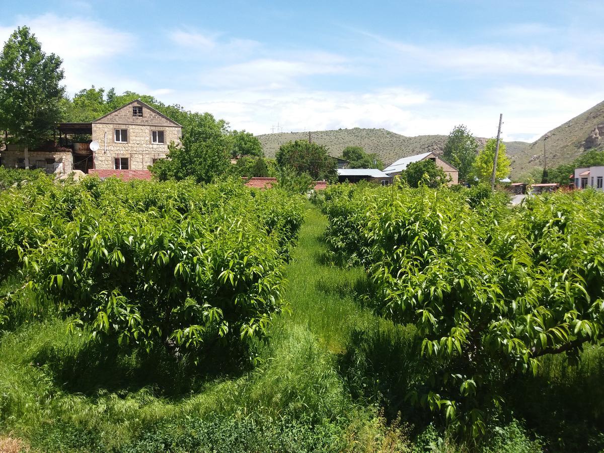 Areni Tavern-B&B Kültér fotó